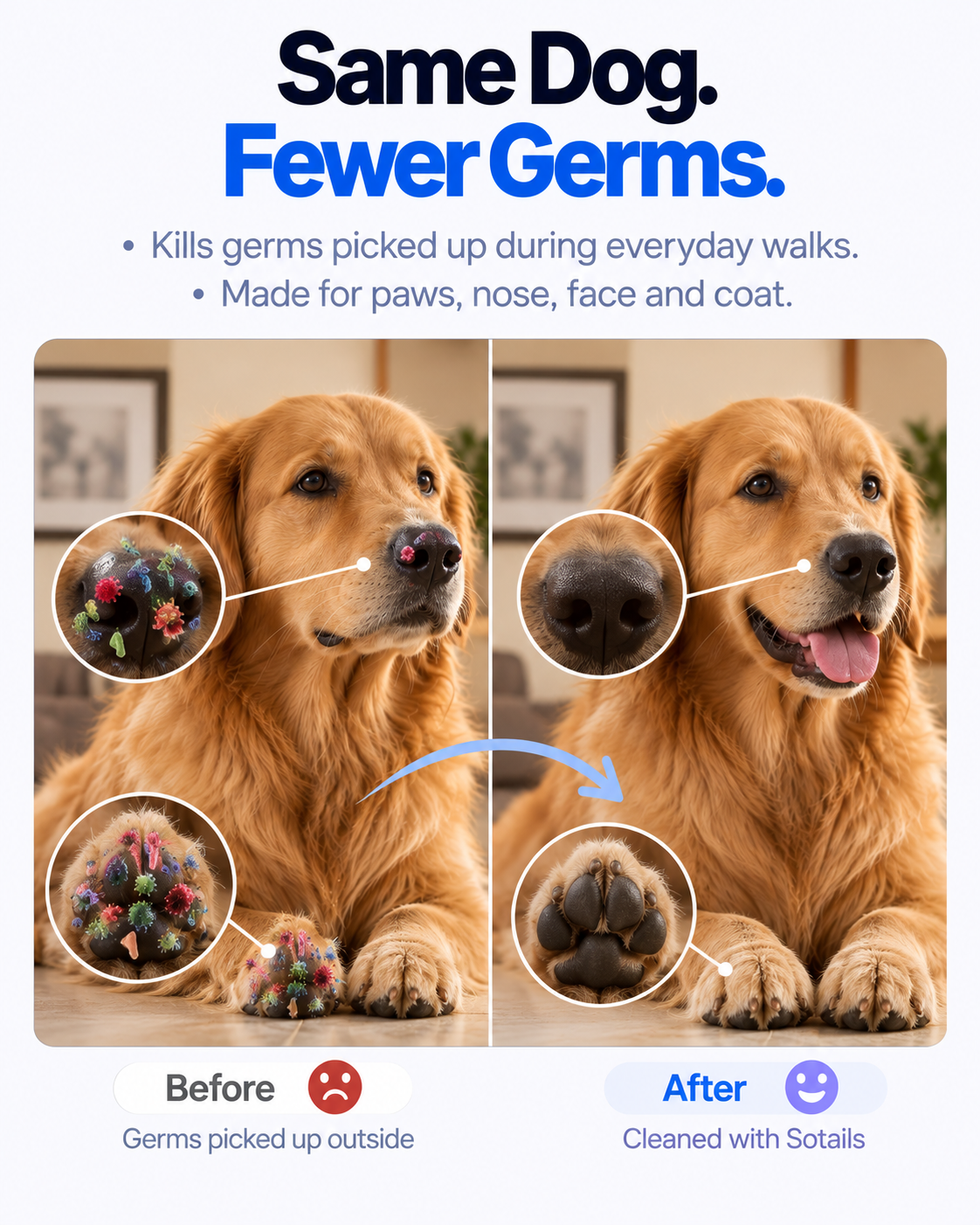 SOTAILS Pet Wipes