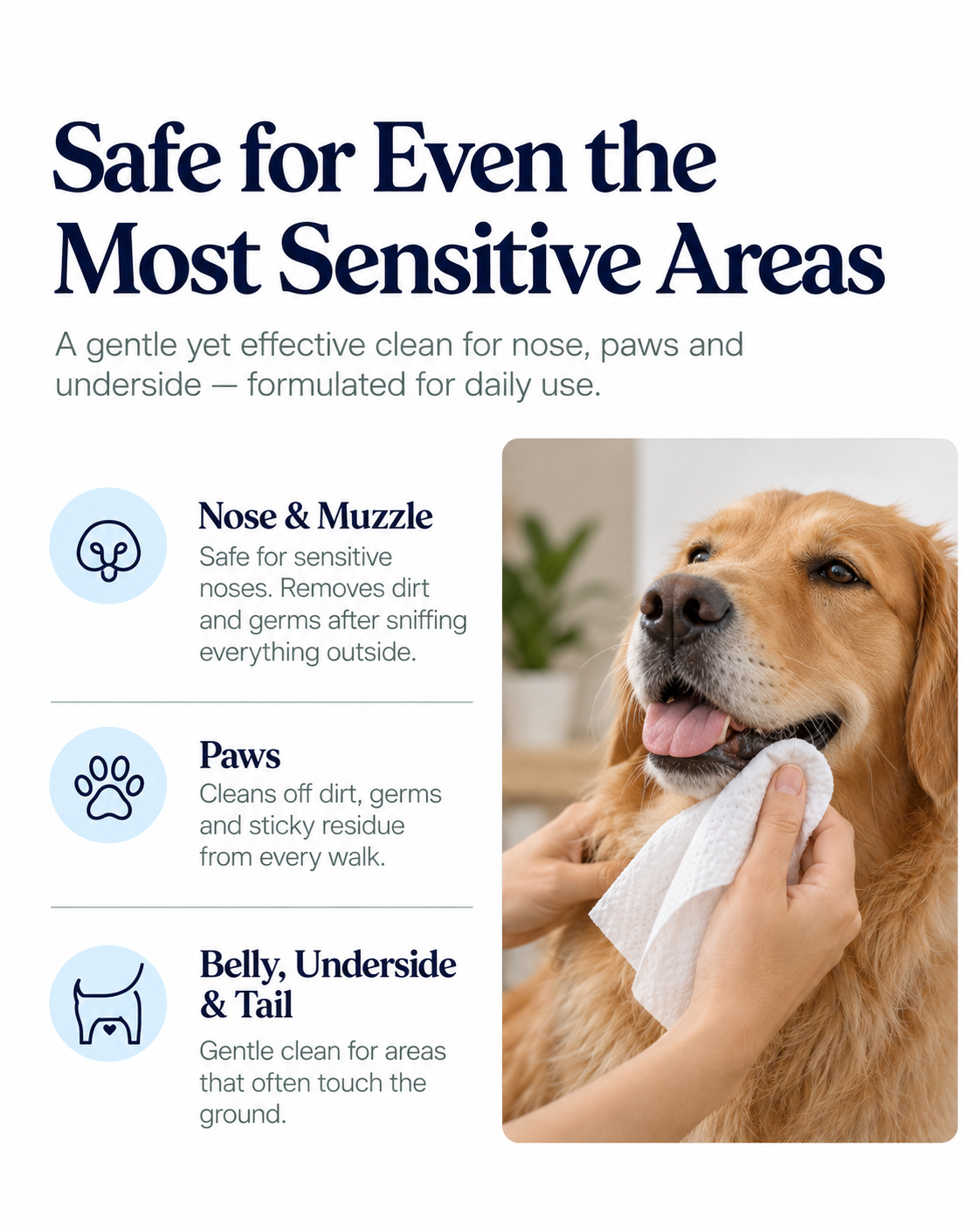 SOTAILS Pet Wipes