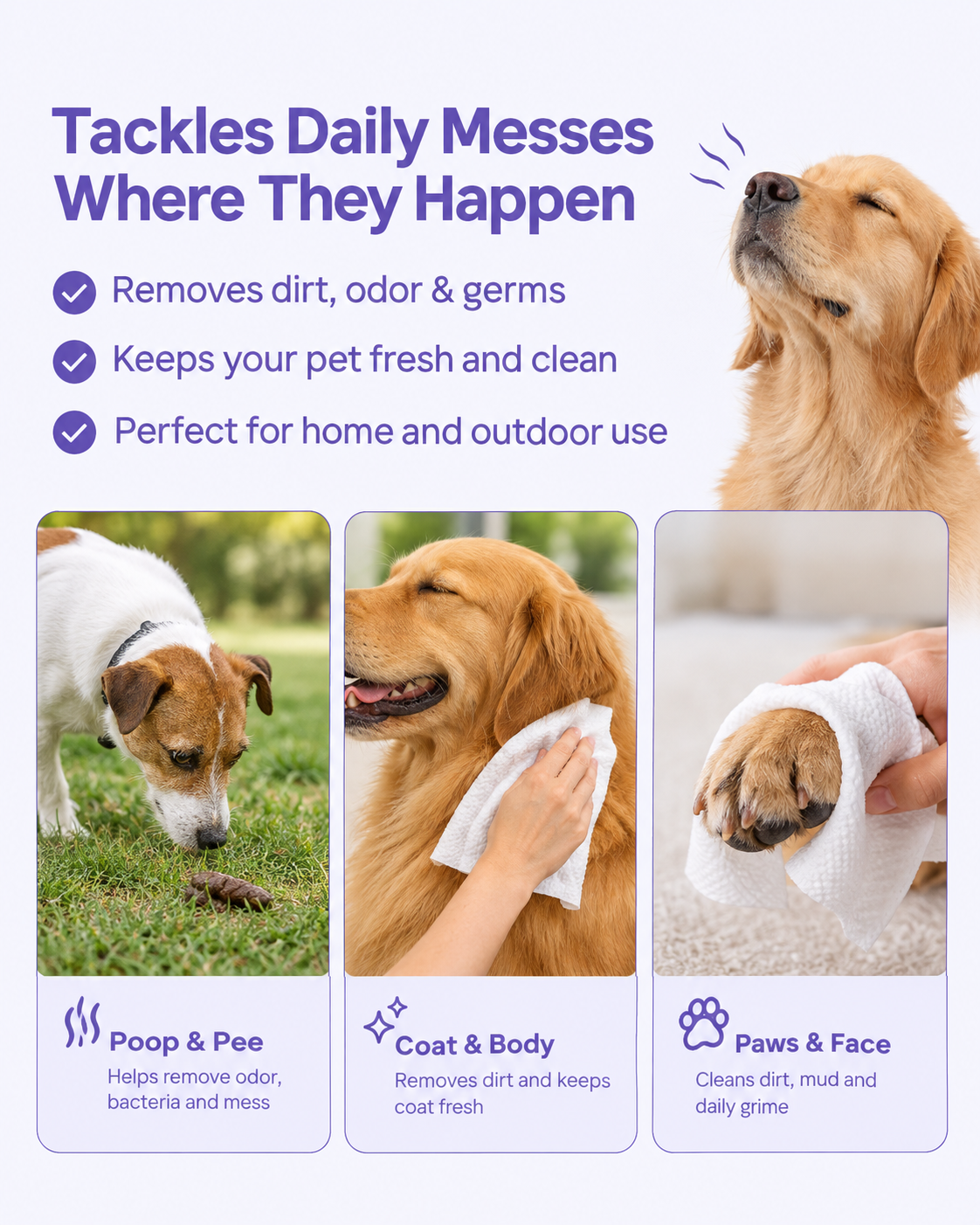 SOTAILS Pet Wipes