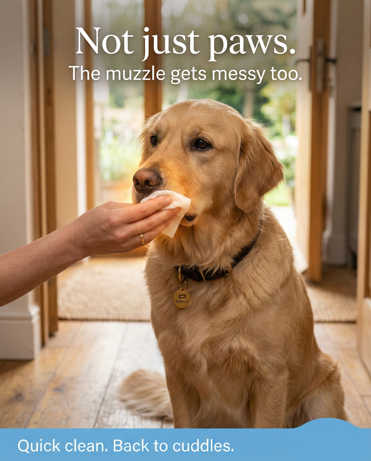 SOTAILS Pet Wipes