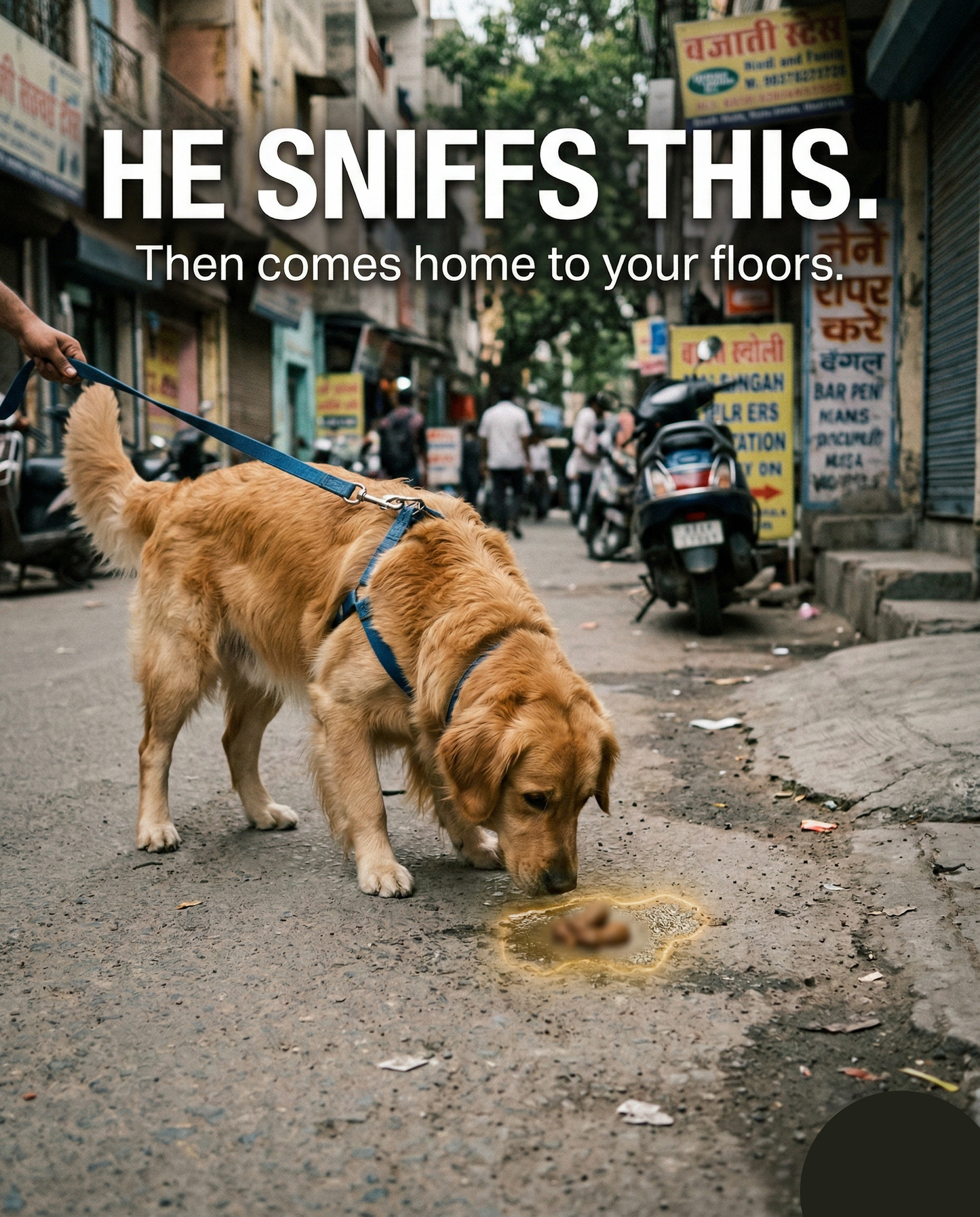 SOTAILS Pet Wipes