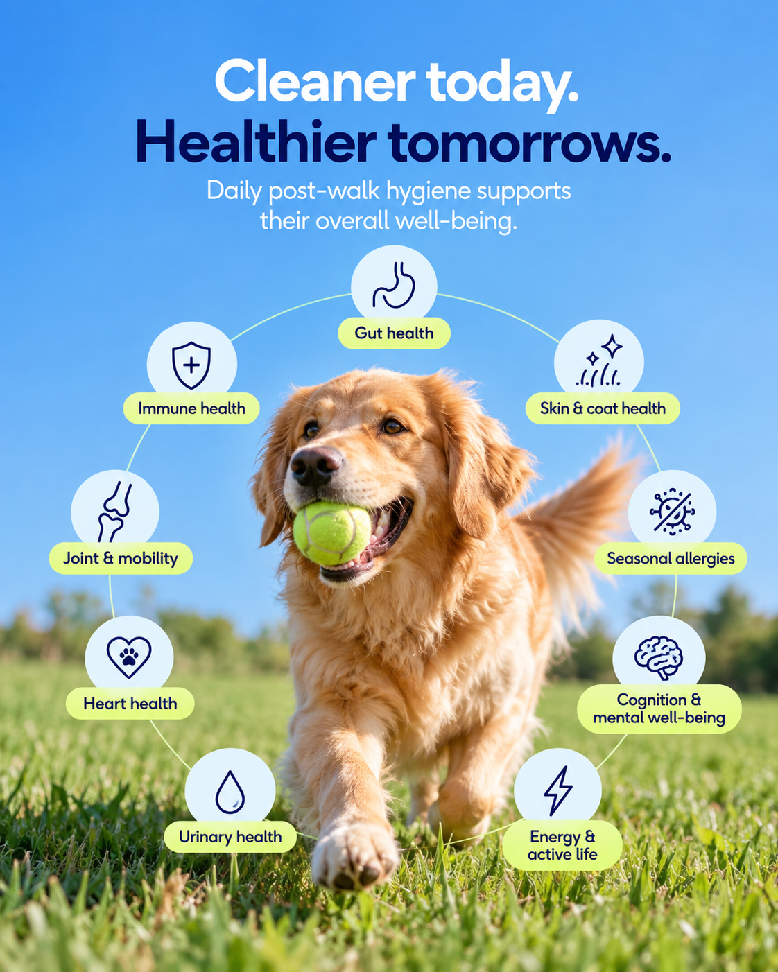 SOTAILS Pet Wipes