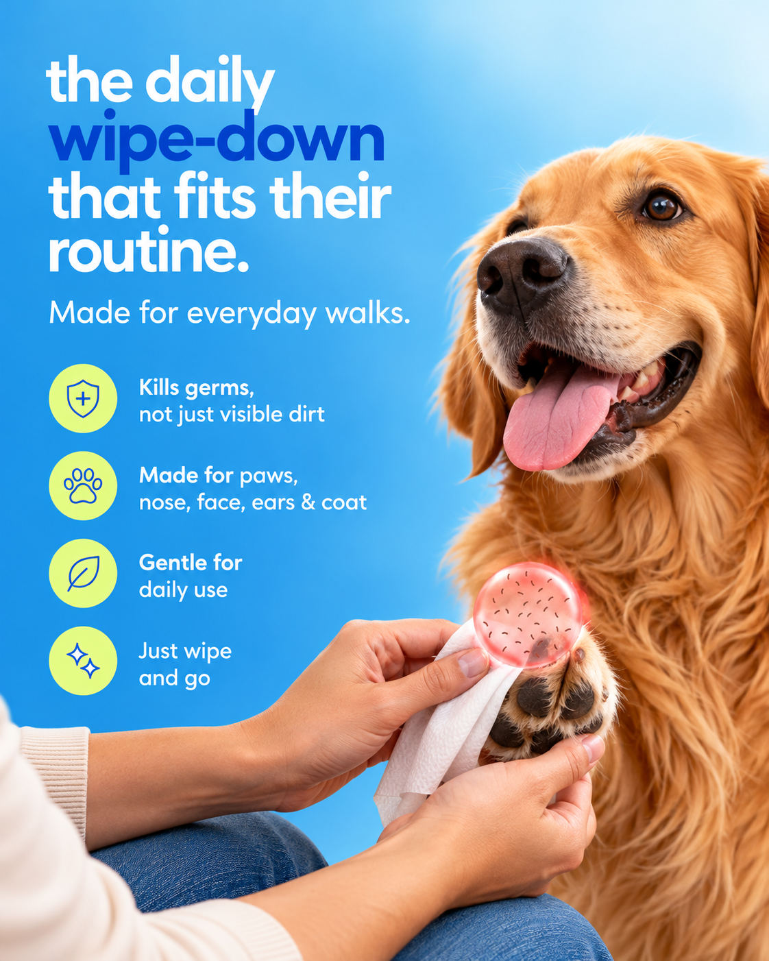 SOTAILS Pet Wipes